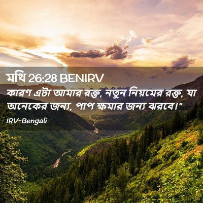Picture 02 - মথি 26:28 BENIRV - কারণ এটা আমার রক্ত, - Bible Verse Picture