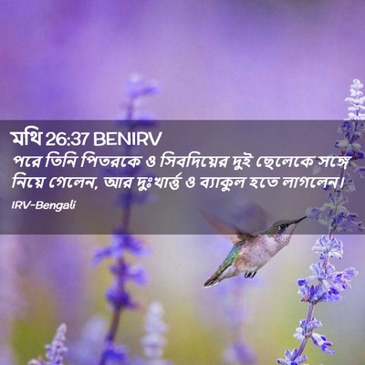 Picture 02 - মথি 26:37 BENIRV - পরে তিনি পিতরকে ও - Bible Verse Picture