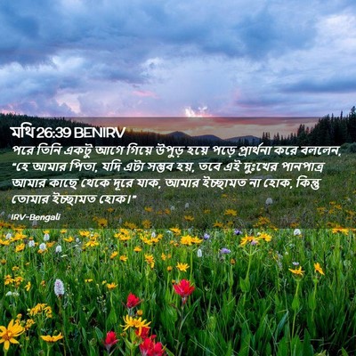 Picture 02 - মথি 26:39 BENIRV - পরে তিনি একটু আগে - Bible Verse Picture