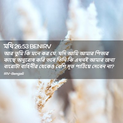 Picture 02 - মথি 26:53 BENIRV - আর তুমি কি মনে কর - Bible Verse Picture