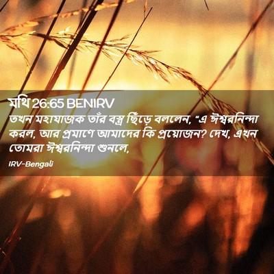 Picture 02 - মথি 26:65 BENIRV - তখন মহাযাজক তাঁর - Bible Verse Picture