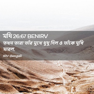 Picture 02 - মথি 26:67 BENIRV - তখন তারা তাঁর মুখে - Bible Verse Picture