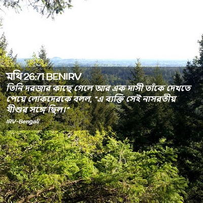 Picture 02 - মথি 26:71 BENIRV - তিনি দরজার কাছে - Bible Verse Picture