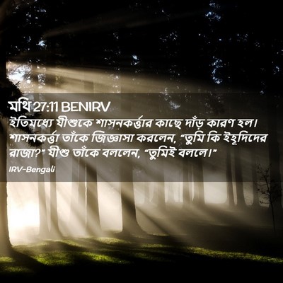 Picture 02 - মথি 27:11 BENIRV - ইতিমধ্যে যীশুকে - Bible Verse Picture