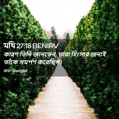 Picture 02 - মথি 27:18 BENIRV - কারণ তিনি জানতেন, - Bible Verse Picture
