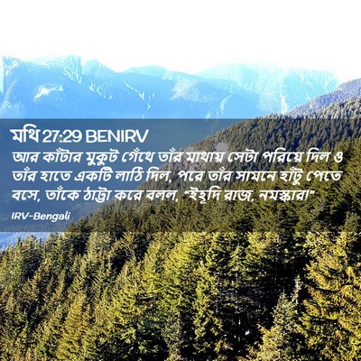 Picture 02 - মথি 27:29 BENIRV - আর কাঁটার মুকুট - Bible Verse Picture