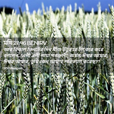 Picture 02 - মথি 27:46 BENIRV - আর বিকাল তিনটের - Bible Verse Picture