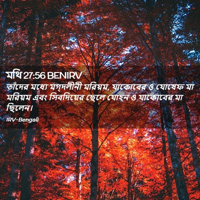 Picture 02 - মথি 27:56 BENIRV - তাঁদের মধ্যে - Bible Verse Picture