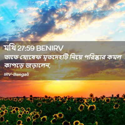 Picture 02 - মথি 27:59 BENIRV - তাতে যোষেফ - Bible Verse Picture