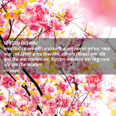 Picture 02 - মথি 27:9 BENIRV - তখন যিরমিয় - Bible Verse Picture