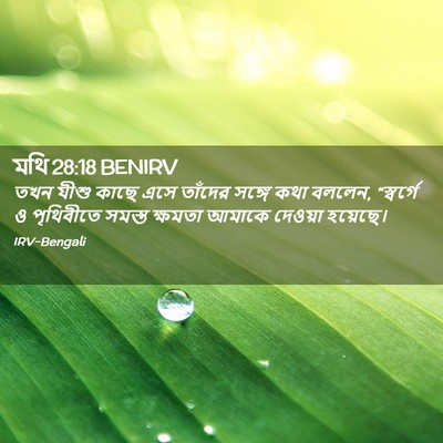 Picture 02 - মথি 28:18 BENIRV - তখন যীশু কাছে এসে - Bible Verse Picture