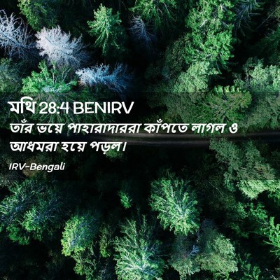 Picture 02 - মথি 28:4 BENIRV - তাঁর ভয়ে - Bible Verse Picture