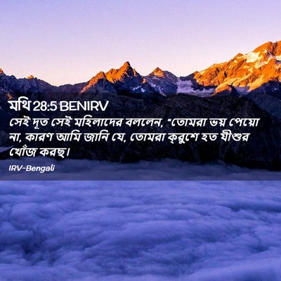 Picture 02 - মথি 28:5 BENIRV - সেই দূত সেই - Bible Verse Picture