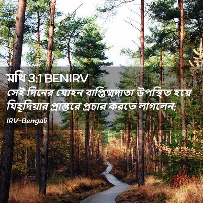 Picture 02 - মথি 3:1 BENIRV - সেই দিনের যোহন - Bible Verse Picture