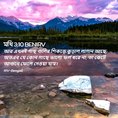Picture 02 - মথি 3:10 BENIRV - আর এখনই গাছ গুলির - Bible Verse Picture