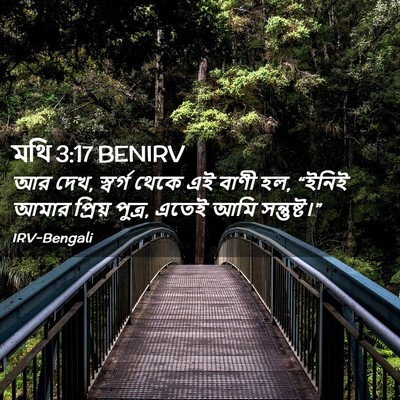Picture 02 - মথি 3:17 BENIRV - আর দেখ, স্বর্গ থেকে - Bible Verse Picture