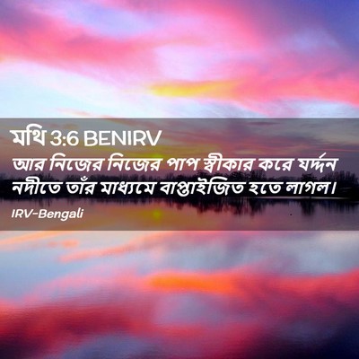 Picture 02 - মথি 3:6 BENIRV - আর নিজের নিজের পাপ - Bible Verse Picture