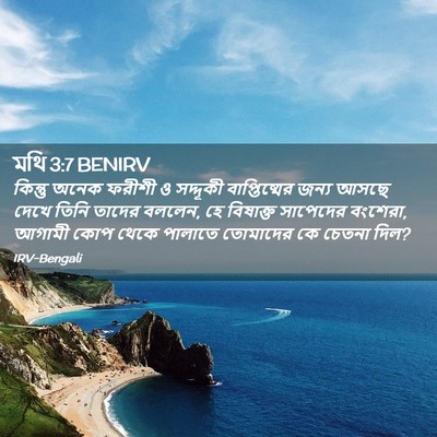 Picture 02 - মথি 3:7 BENIRV - কিন্তু অনেক ফরীশী - Bible Verse Picture