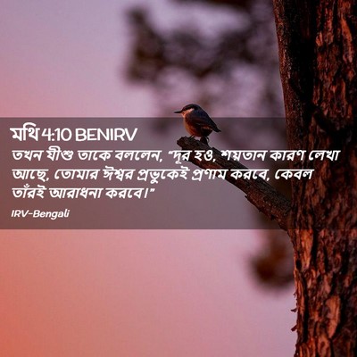 Picture 02 - মথি 4:10 BENIRV - তখন যীশু তাকে - Bible Verse Picture