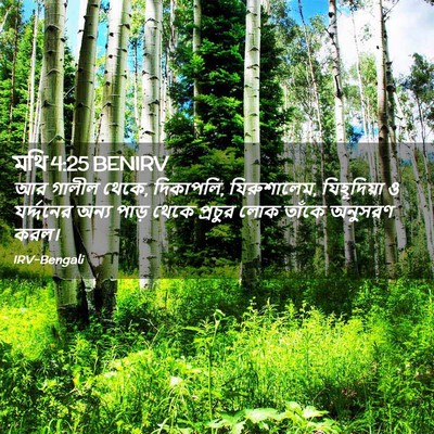 Picture 02 - মথি 4:25 BENIRV - আর গালীল থেকে, - Bible Verse Picture