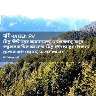 Picture 02 - মথি 4:4 BENIRV - কিন্তু তিনি উত্তর - Bible Verse Picture