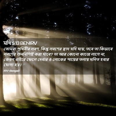 Picture 02 - মথি 5:13 BENIRV - তোমরা পৃথিবীর লবণ, - Bible Verse Picture