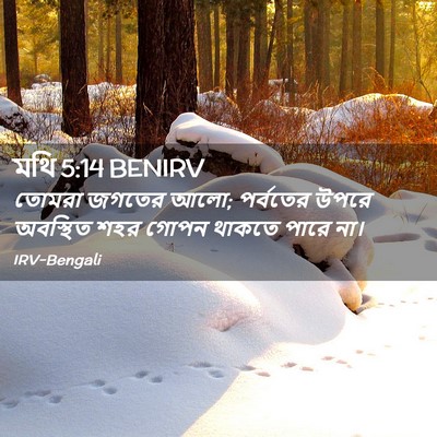 Picture 02 - মথি 5:14 BENIRV - তোমরা জগতের আলো; - Bible Verse Picture