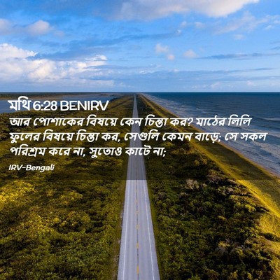 Picture 02 - মথি 6:28 BENIRV - আর পোশাকের বিষয়ে - Bible Verse Picture