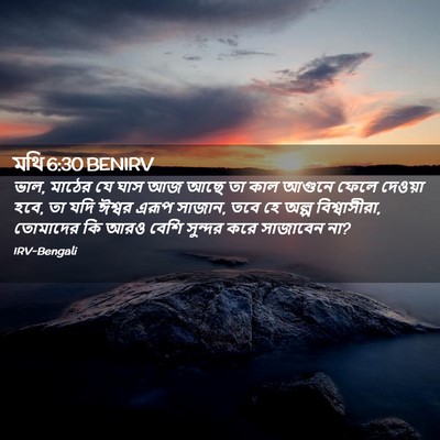 Picture 02 - মথি 6:30 BENIRV - ভাল, মাঠের যে ঘাস - Bible Verse Picture