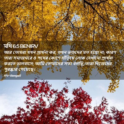 Picture 02 - মথি 6:5 BENIRV - আর তোমরা যখন - Bible Verse Picture