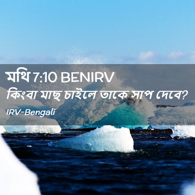 Picture 02 - মথি 7:10 BENIRV - কিংবা মাছ চাইলে - Bible Verse Picture