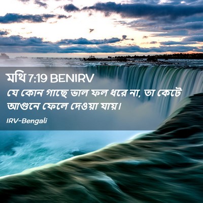 Picture 02 - মথি 7:19 BENIRV - যে কোন গাছে ভাল ফল - Bible Verse Picture