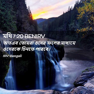 Picture 02 - মথি 7:20 BENIRV - অতএব তোমরা ওদের - Bible Verse Picture