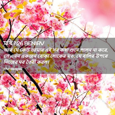 Picture 02 - মথি 7:26 BENIRV - আর যে কেউ আমার এই - Bible Verse Picture