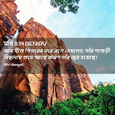 Picture 02 - মথি 8:14 BENIRV - আর যীশু পিতরের ঘরে - Bible Verse Picture