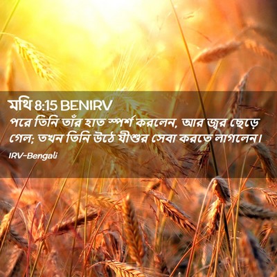 Picture 02 - মথি 8:15 BENIRV - পরে তিনি তাঁর হাত - Bible Verse Picture