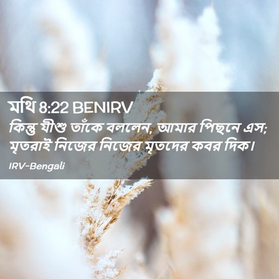 Picture 02 - মথি 8:22 BENIRV - কিন্তু যীশু তাঁকে - Bible Verse Picture