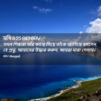 Picture 02 - মথি 8:25 BENIRV - তখন শিষ্যরা তাঁর - Bible Verse Picture