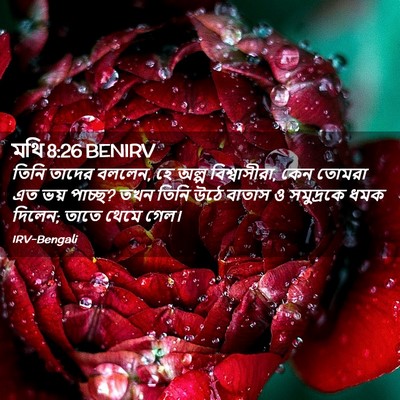 Picture 02 - মথি 8:26 BENIRV - তিনি তাদের বললেন, - Bible Verse Picture