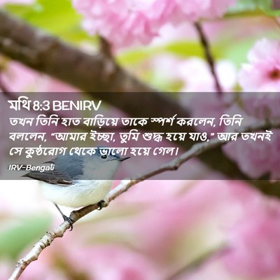 Picture 02 - মথি 8:3 BENIRV - তখন তিনি হাত - Bible Verse Picture