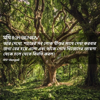 Picture 02 - মথি 8:34 BENIRV - আর দেখো, শহরের সব - Bible Verse Picture