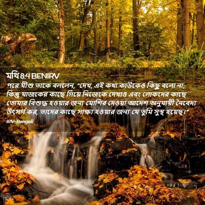 Picture 02 - মথি 8:4 BENIRV - পরে যীশু তাকে - Bible Verse Picture
