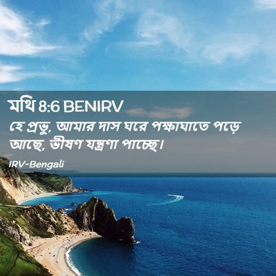 Picture 02 - মথি 8:6 BENIRV - হে প্রভু, আমার দাস - Bible Verse Picture
