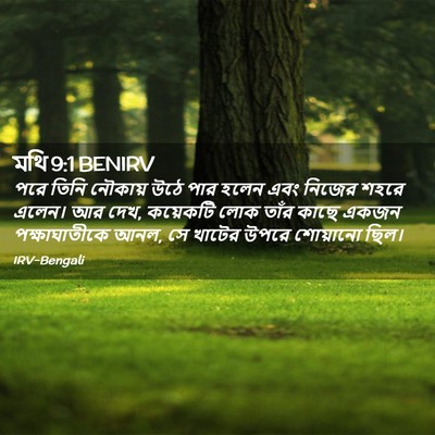 Picture 02 - মথি 9:1 BENIRV - পরে তিনি নৌকায় - Bible Verse Picture