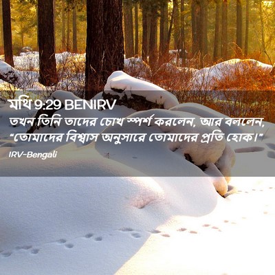 Picture 02 - মথি 9:29 BENIRV - তখন তিনি তাদের চোখ - Bible Verse Picture