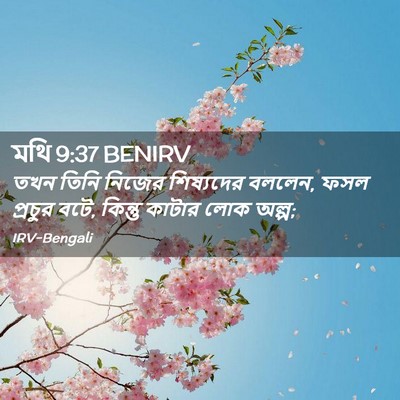 Picture 02 - মথি 9:37 BENIRV - তখন তিনি নিজের - Bible Verse Picture