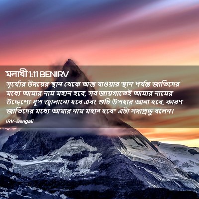 Picture 02 - মলাখী 1:11 BENIRV - সূর্য্যের উদয়ের - Bible Verse Picture