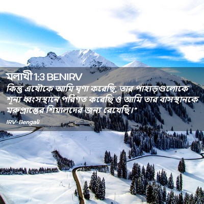 Picture 02 - মলাখী 1:3 BENIRV - কিন্তু এষৌকে আমি - Bible Verse Picture