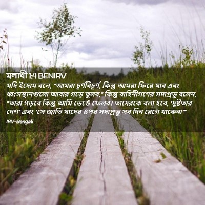 Picture 02 - মলাখী 1:4 BENIRV - যদি ইদোম বলে, “আমরা - Bible Verse Picture