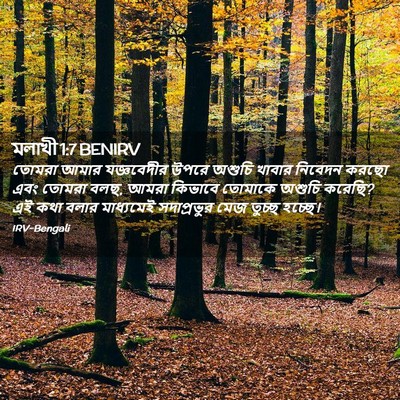 Picture 02 - মলাখী 1:7 BENIRV - তোমরা আমার - Bible Verse Picture